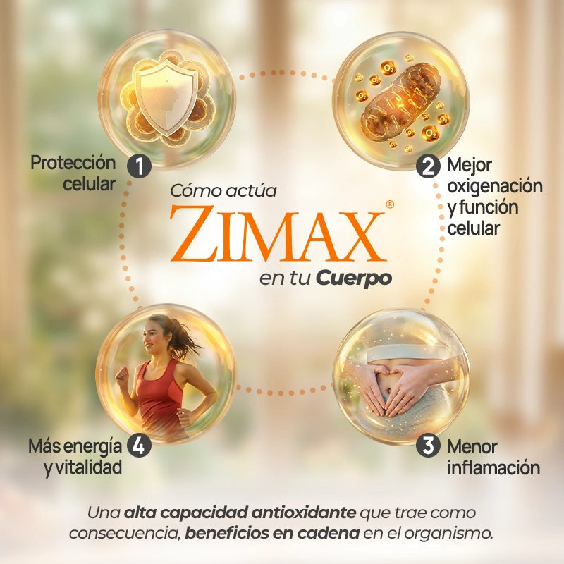 Zimax® Sobres (TEST)